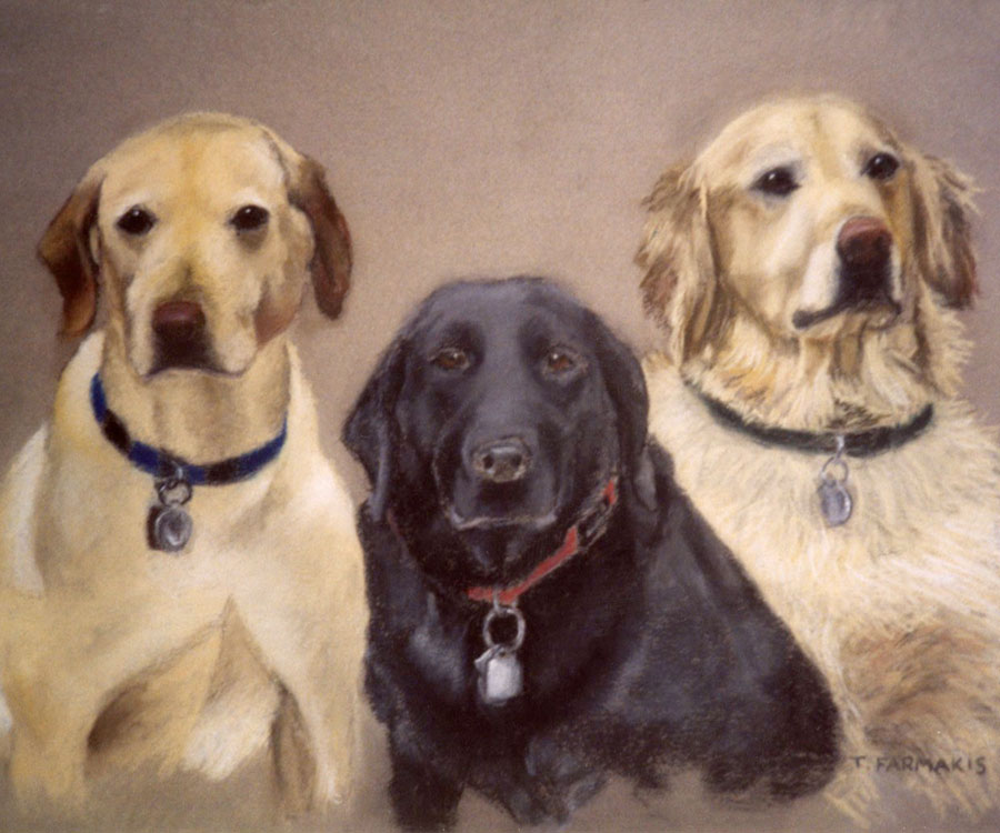 3 Dogs Portrait Commission