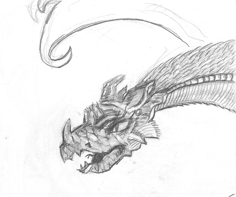 Dragon Study Sketch