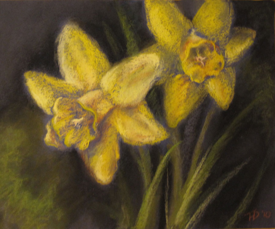 Night Daffodils