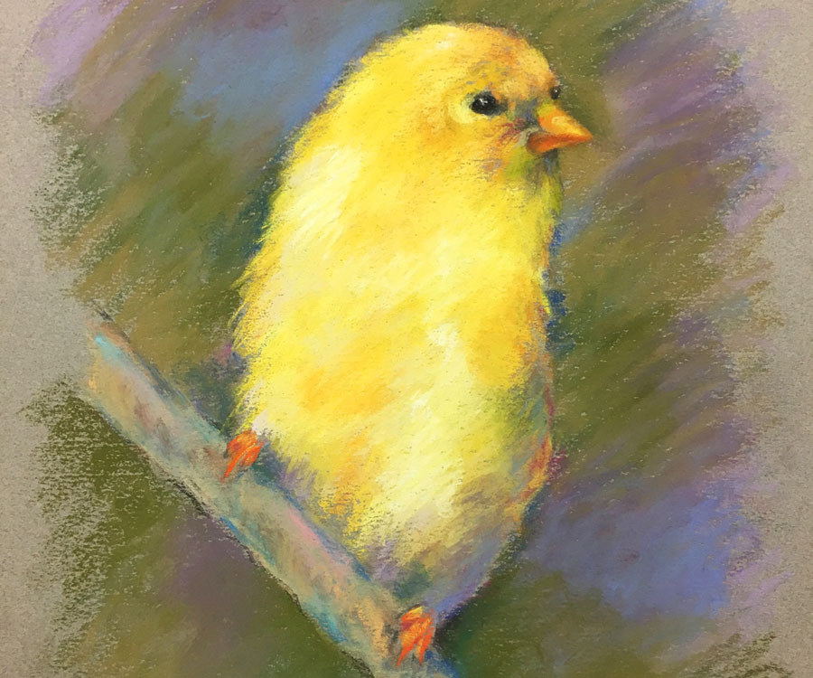 Yellow Bird Pastel